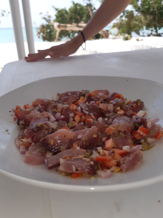 Gastro Maldives Diving Loabi