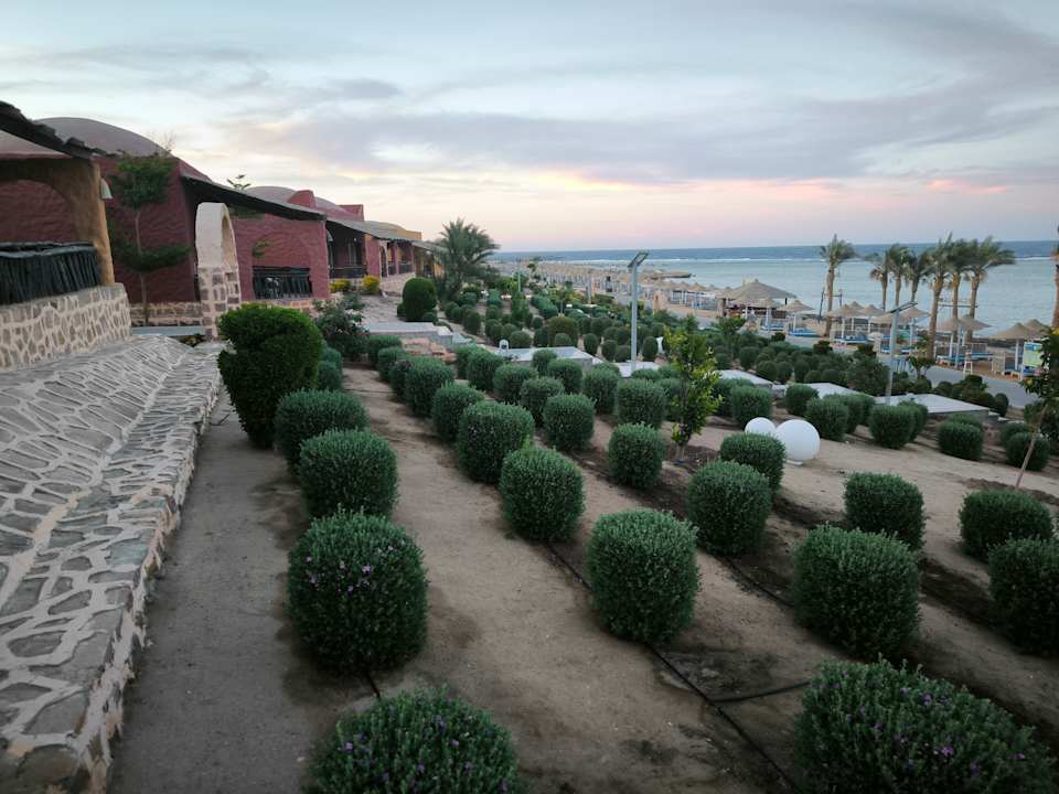 Außenansicht Pickalbatros Vita Resort - Portofino Marsa Alam