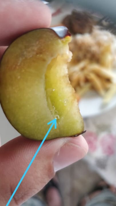 Gastro HI Hotels Imperial Resort