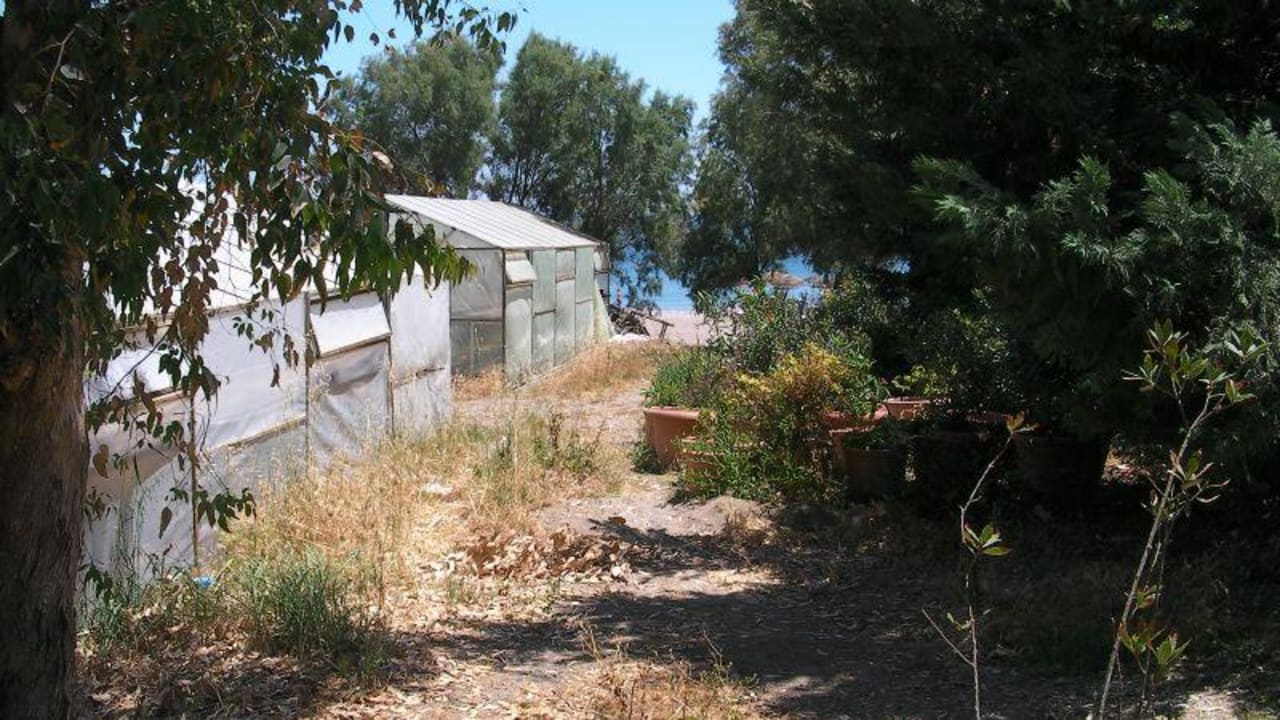 Gewächshäuser neben der Rasenliegefläche Hotel Calypso Beach