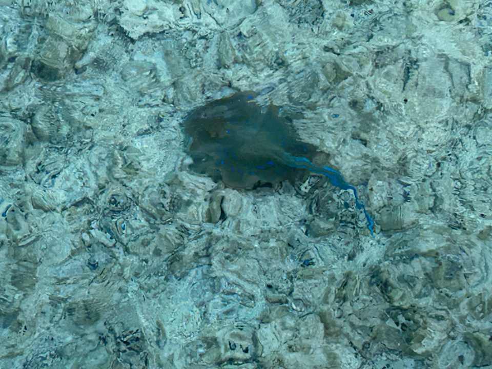 Strand Lazuli Hotel Marsa Alam