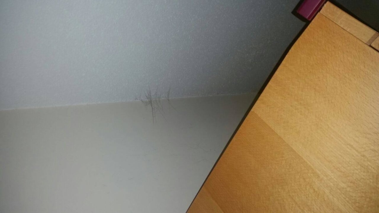 Ohne Worte 4 Sterne Mario Bros Hotel Herzog Heinrich