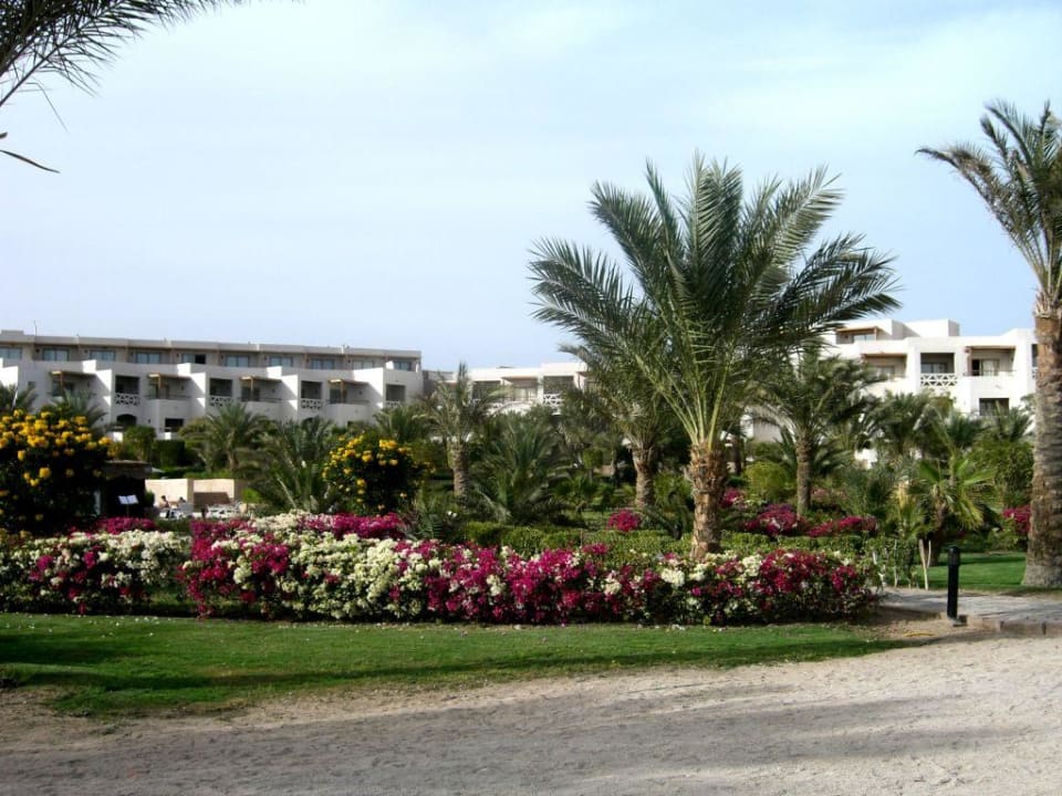 Garten in Richtung Old Wing Fort Arabesque Resort, Spa & Villas