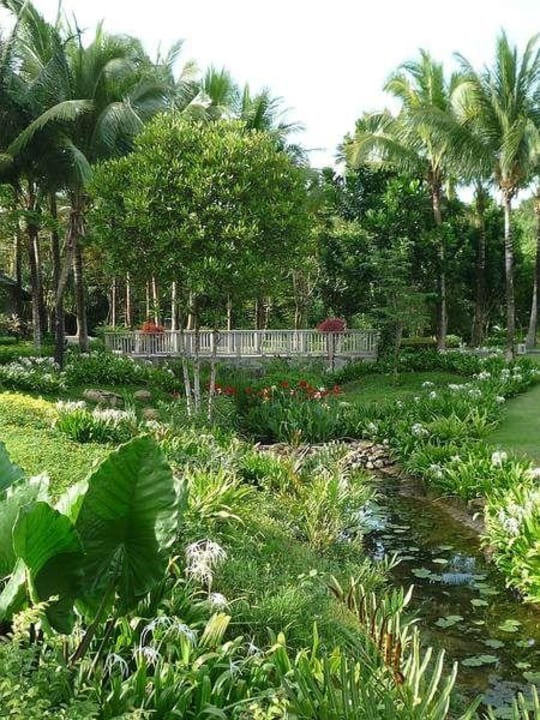 Ein echter botanischer Garten mit Wasserlauf Dusit Thani Krabi Beach Resort