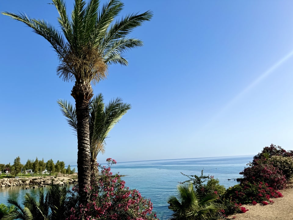 Strand Crystal Springs Beach Hotel