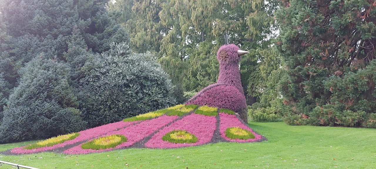 Sonstiges Hotel Fischerhaus Garni