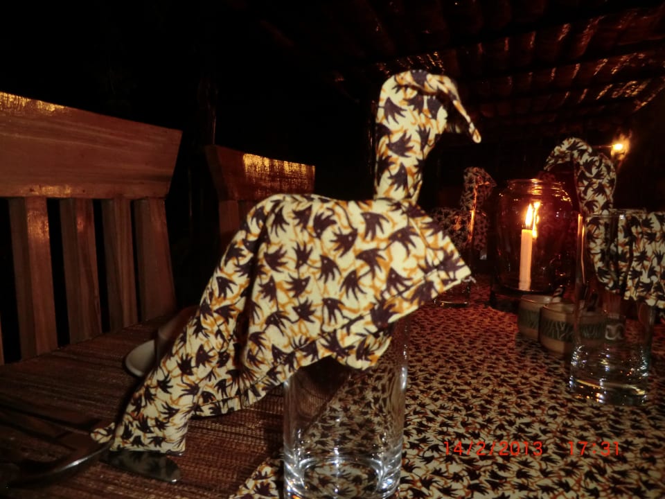 Tiere aus der Servette Octagon Safari Lodge