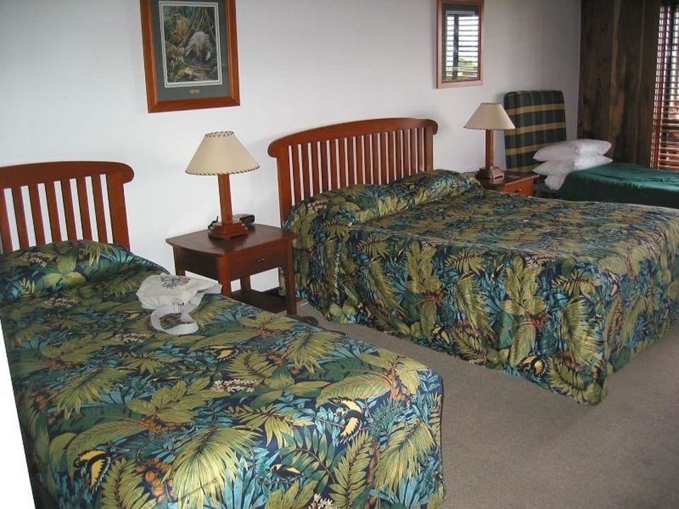 O'Reilly's Rainforest Retreat O'Reilly's Rainforest Resort