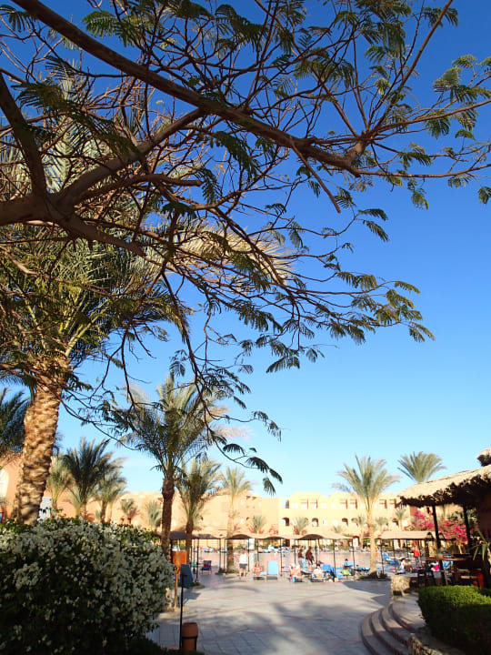 Blick auf Pool Jaz Makadi Oasis Resort