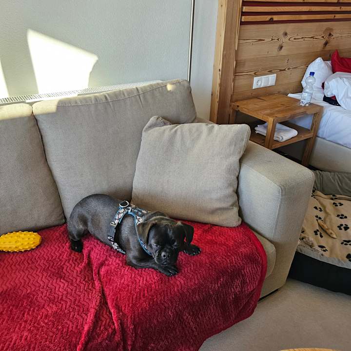 Zimmer Landhotel Gockelwirt