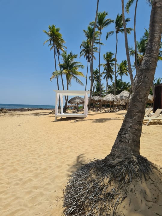 Strand Wyndham Alltra Punta Cana
