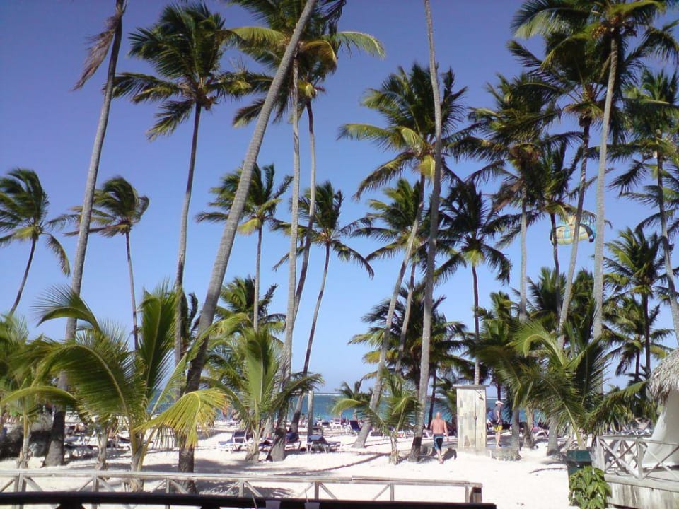 Strand Villas Bavaro Resort & Spa