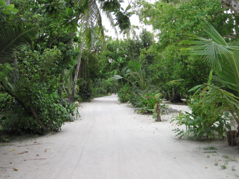 Wege auf der Nordseite Kuredu Island Resort & Spa