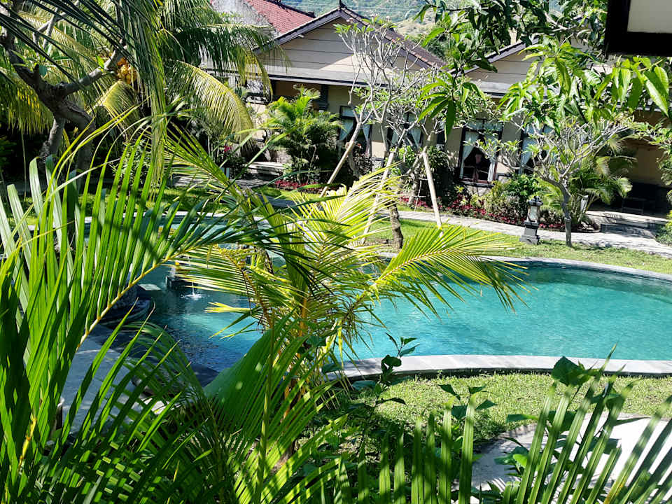 Pool Doubleyou Homestay Pemuteran