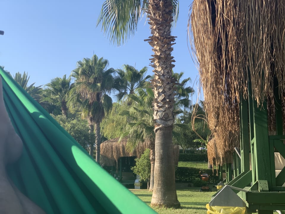 Gartenanlage Green Bay Resort & Spa
