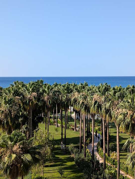 Ausblick Royal Atlantis Beach Hotel
