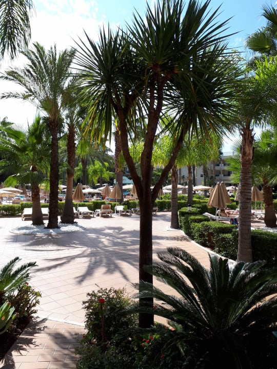 Gartenanlage 3HB Guaraná - All Inclusive