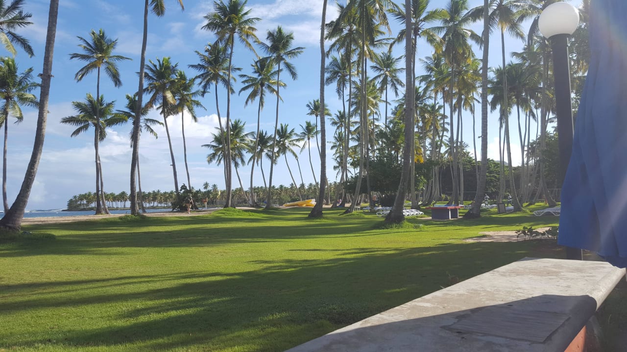 Liegewiese Wyndham Alltra Samana