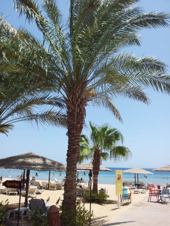 Schön Fort Arabesque Resort, Spa & Villas