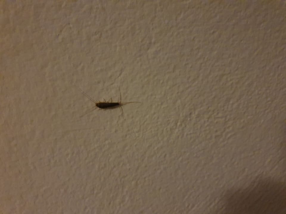 Zimmer Sandy Beach Resort