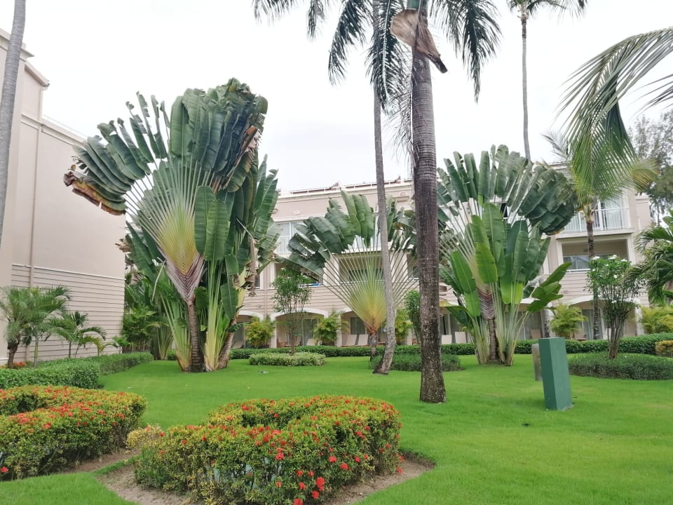Gartenanlage Grand Palladium Select Bávaro Resort & Spa
