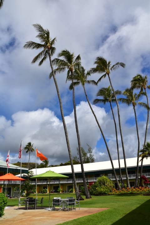Gartenanlage Kauai Shores Hotel