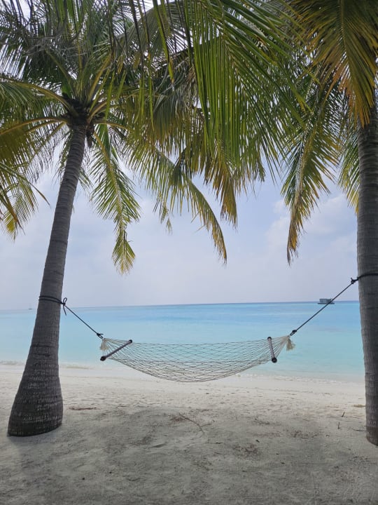 Strand Meeru Maldives Resort Island