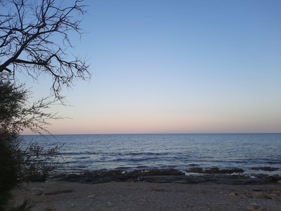 Sonstiges Aparthotel Playa Dorada