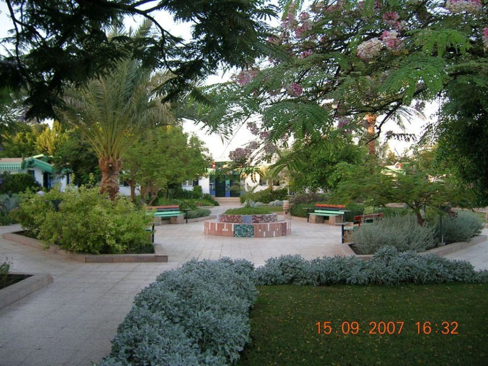 Vom Pool zum Haupthaus Ghazala Beach