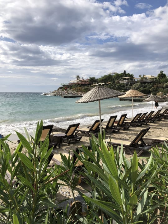 Strand Hotel Pine Bay Holiday Resort