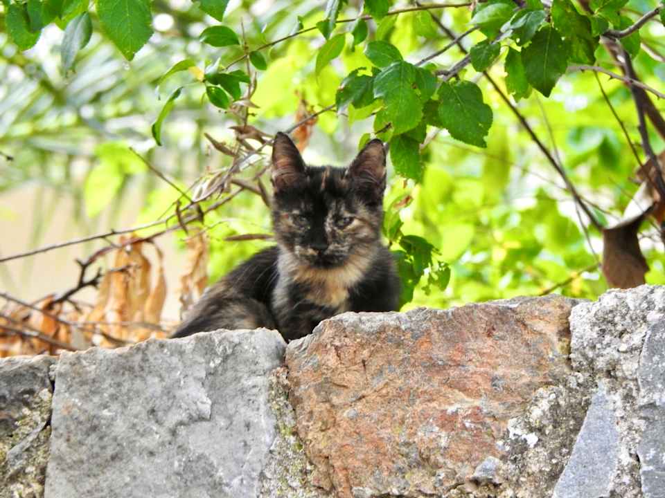Sonstiges Hotel Sunset Beach
