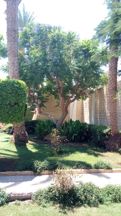 Gartenanlage Regina Resort and Aqua Park Hurghada