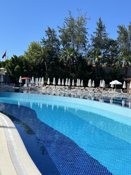 Pool Well Palace Side