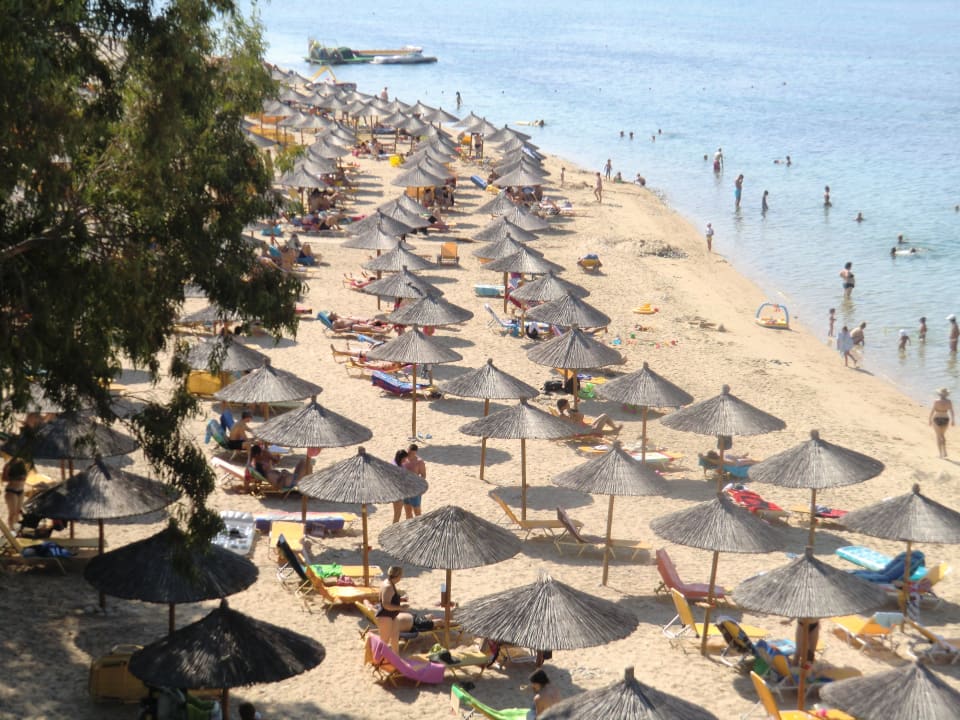 Genügend Platz am saubren Strand Akrathos Beach Hotel