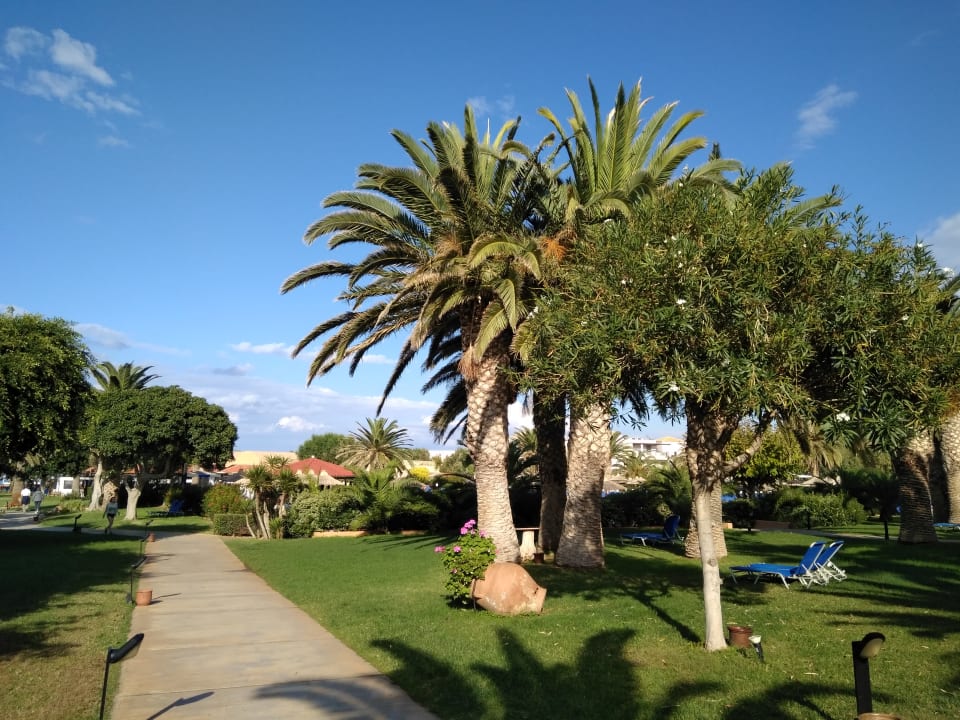 Gartenanlage Anissa Beach & Village