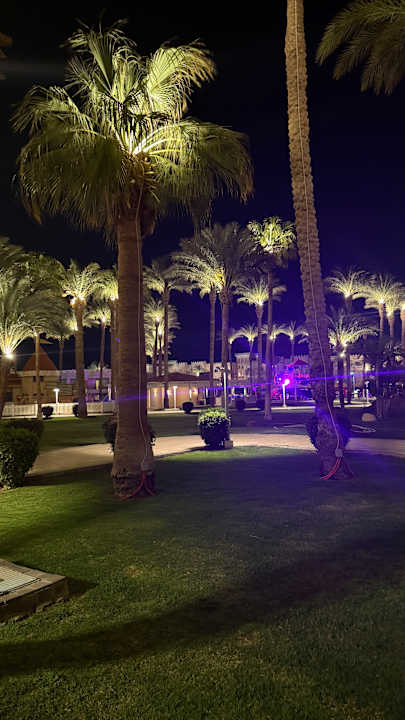 Gartenanlage Beach Albatros Resort