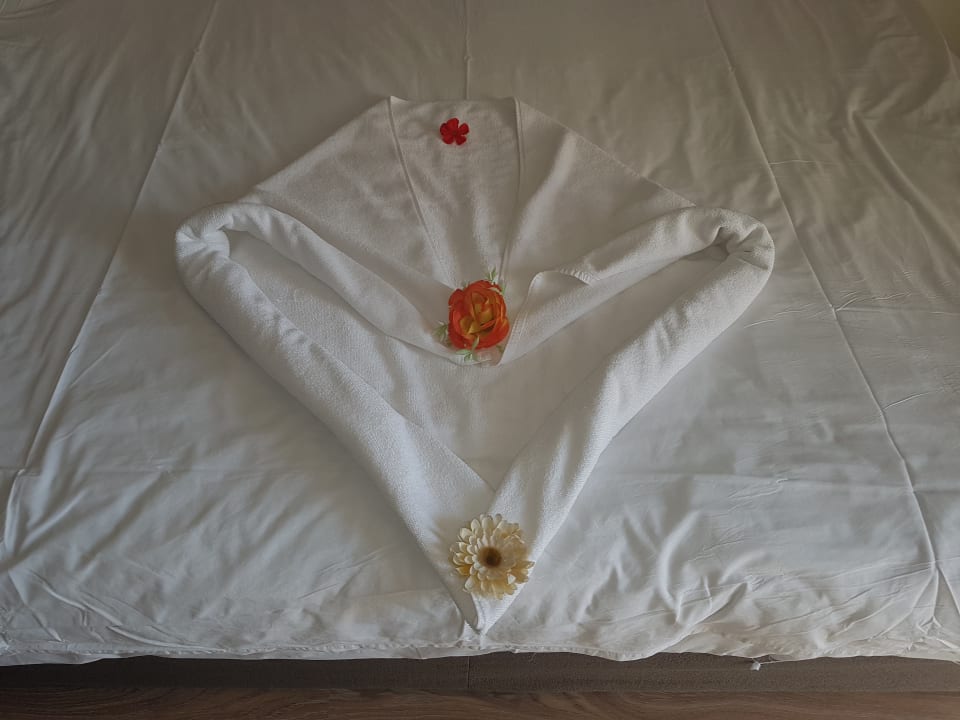 Zimmer Well Palace Side