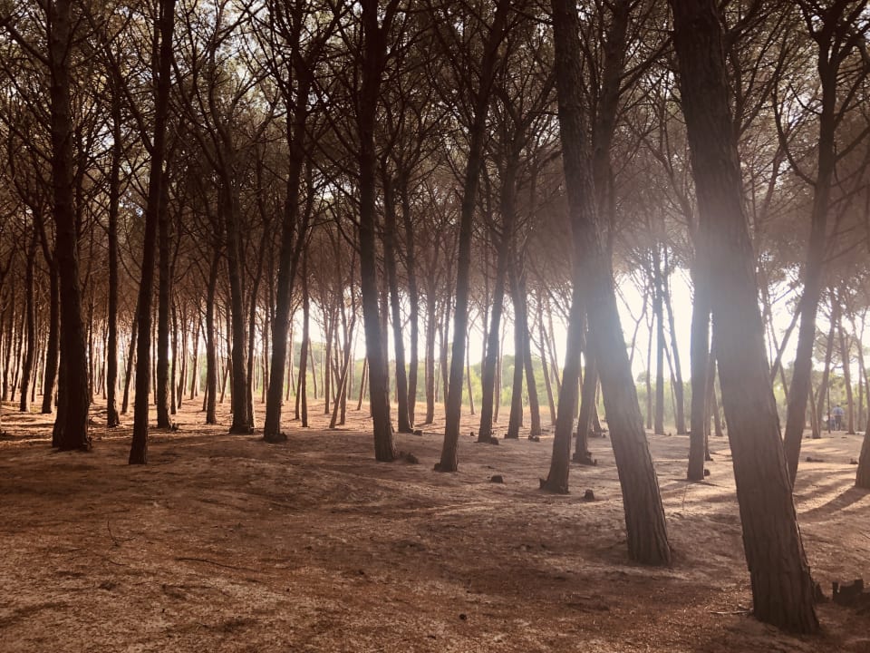 Strand TUI MAGIC LIFE Calabria