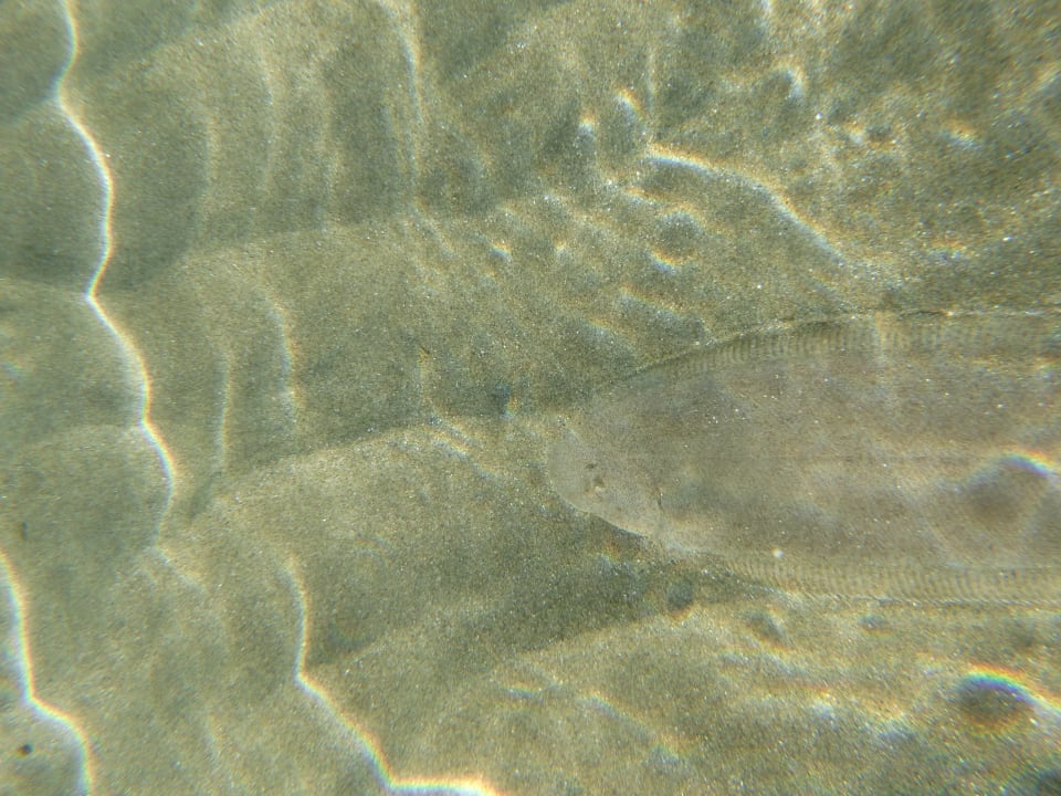 Strand Three Corners Equinox Beach Resort