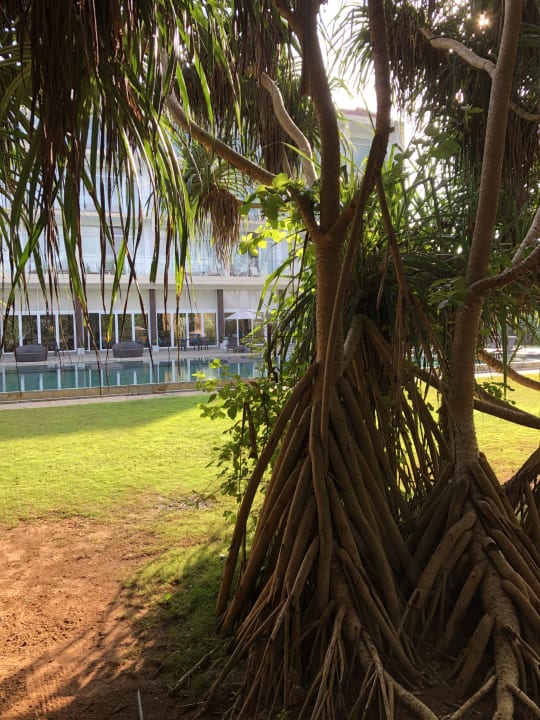 Gartenanlage The Habitat Kosgoda by Asia Leisure