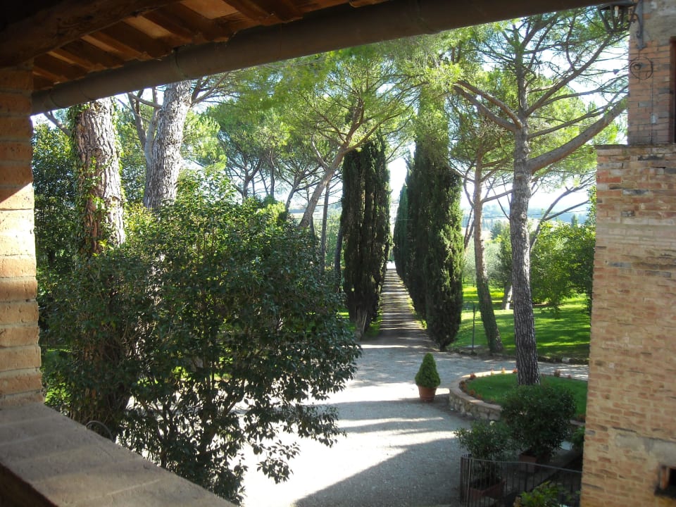 Vom Caminetto auf die Zufahrt Borgo Santinovo