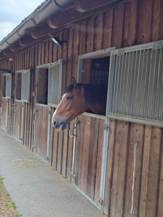 Sonstiges Hotel GUT Trattlerhof & Chalets
