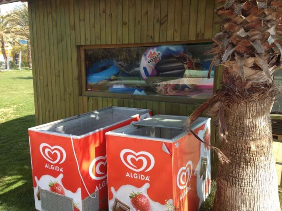 Auf dem Weg zum Strand Selge Beach Resort