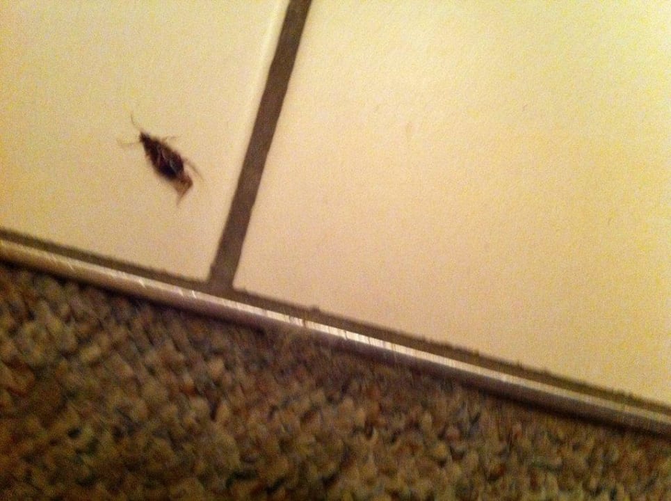 Guten Tag  Hotel Am Sutschke- Tal