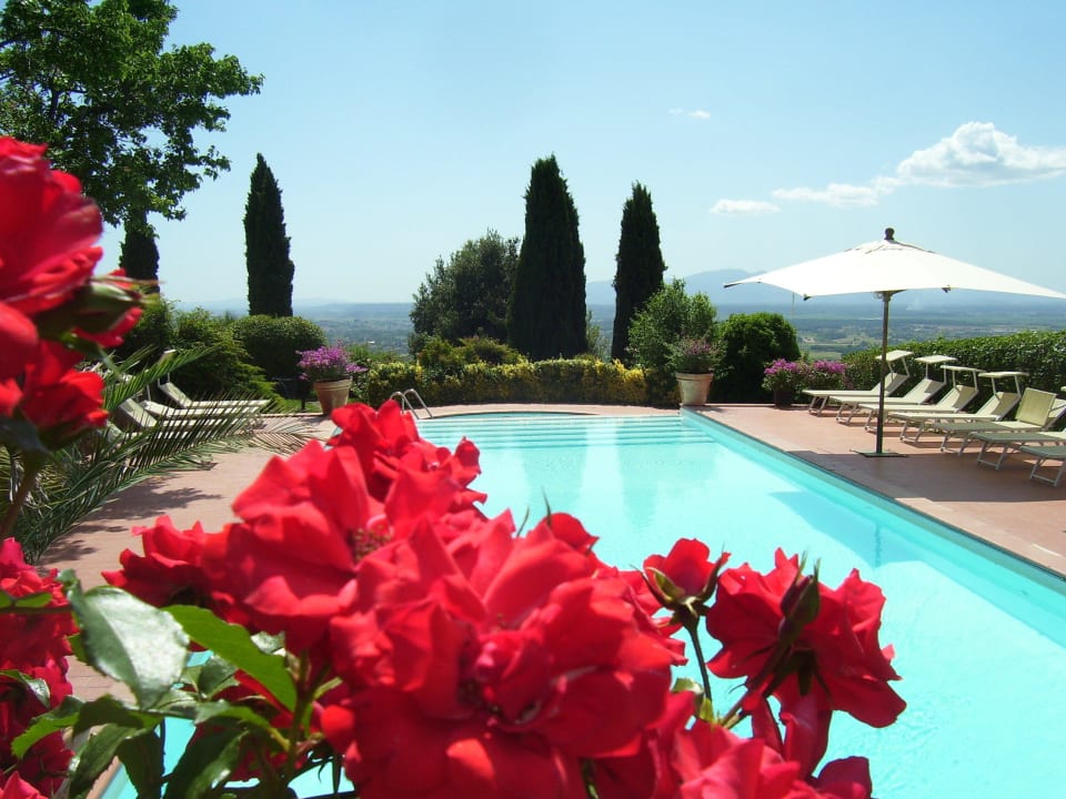 Swimming pool Farmhouse Casa Italia