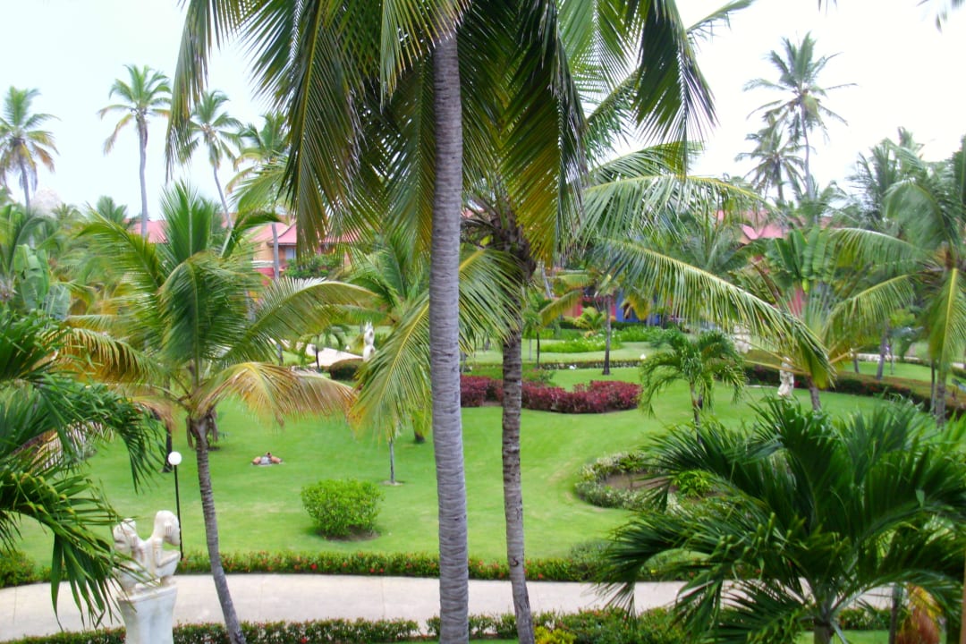 Palmen Punta Cana Princess All Suites Resort & Spa