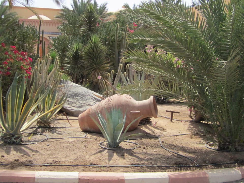 Hotel-Park Steigenberger Coraya Beach - Adults only