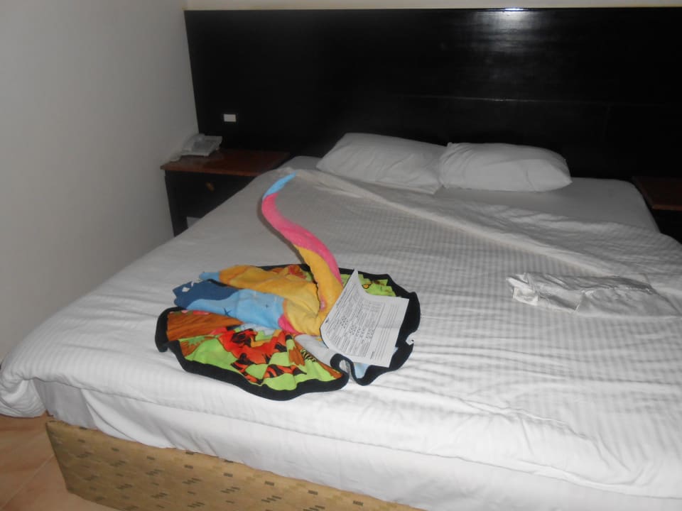 Ein Schwan  Pickalbatros Jungle Aqua Park Resort - Neverland Hurghada