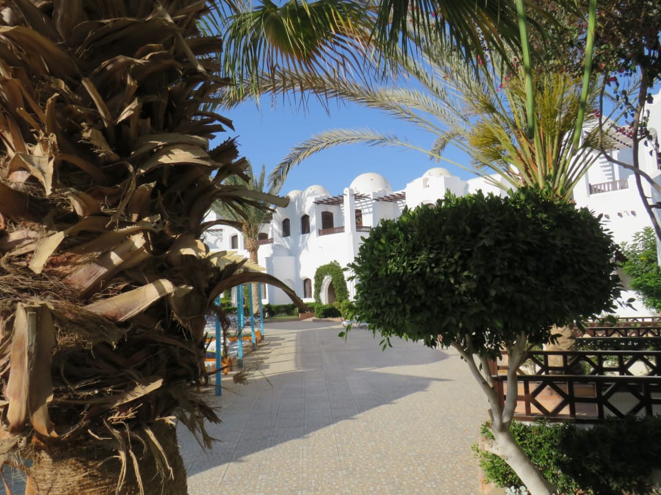 Gartenanlage Arabella Azur Resort