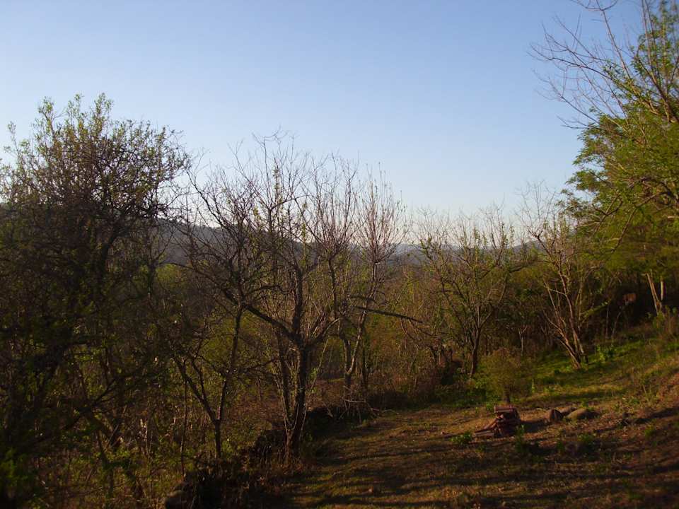 Blick vom Balkon des unteren Gästehauses... Hotel Soluna